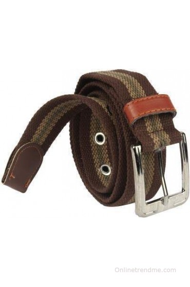 Arip Boys, Girls, Men, Women Casual, Formal Brown Fabric Belt(Brown-04)